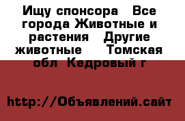 Ищу спонсора - Все города Животные и растения » Другие животные   . Томская обл.,Кедровый г.